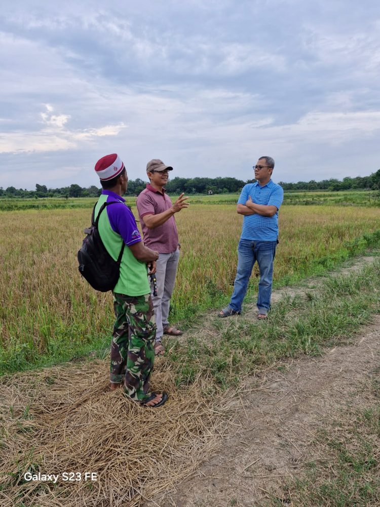 Dukung Swasembada Pangan, Anggota DPRD Provinsi Jambi Muhammad Nasir Apresiasi Semangat Poktan di Kota Jambi Kelola Sawah/ foto/  humas DPRD Jambi