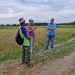 Dukung Swasembada Pangan, Anggota DPRD Provinsi Jambi Muhammad Nasir Apresiasi Semangat Poktan di Kota Jambi Kelola Sawah/ foto/  humas DPRD Jambi