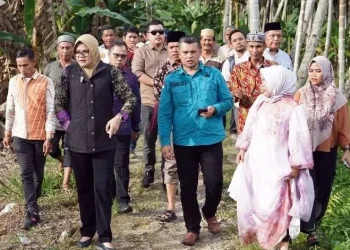 Bupati Dillah Tinjau Jembatan Rusak di Desa Sinar Wajo: Pastikan Masuk Prioritas Pembangunan 2025
