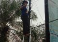 Pangkalan Tungkal Terangi Blankspot dengan Starlink, Inovasi Desa Lahirkan Konektivitas dan Kemandirian