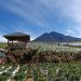 Keren, Farenza Garden Jangkat Merangin Masuk Nominasi Anugerah Pesona Indonesia Award 2025