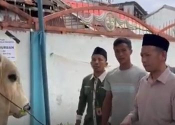 Wabup Tanjab Timur Serahkan Hewan Kurban Bantuan Presiden Prabowo di Mendahara