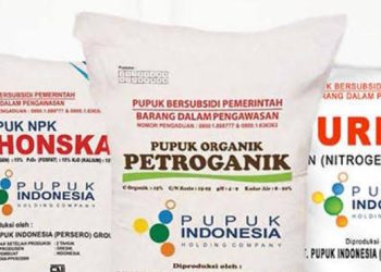 Ilustrasi pupuk subsidi/ Foto: Istimewa