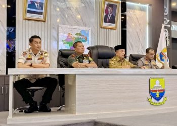 Al Haris Lapor ke Menteri Kehutanan dan Kepala BNPB: Langkah Strategis Penanganan Karhutla