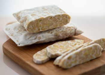 Ilustrasi tempe/ foto: istimewa