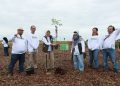PT SAS akan merehabilitasi lahan hutan seluas 2018 hektar dengan total 1,4 juta tanaman. Terlihat Direktur TKTRH Kemenhut RI Ir Handayaningsih, didampingi Direktur PT SAS Kameswara Helly dan jajaran manajemen group saat menanam perdana bibit di Kawasan Hutan Gambut Londrang Kamis (23/10/2025).