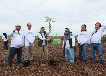 PT SAS akan merehabilitasi lahan hutan seluas 2018 hektar dengan total 1,4 juta tanaman. Terlihat Direktur TKTRH Kemenhut RI Ir Handayaningsih, didampingi Direktur PT SAS Kameswara Helly dan jajaran manajemen group saat menanam perdana bibit di Kawasan Hutan Gambut Londrang Kamis (23/10/2025).