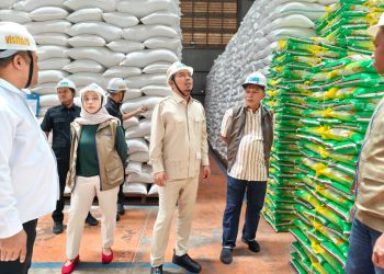 Sidak Gudang Bulog, Rocky Candra Pastikan Stok Pangan Jambi Aman Hingga Awal 2027