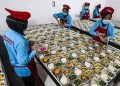 Ilustrasi makan bergizi gratis/ Foto: istimewa