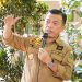 Gubernur Jambi Al Haris