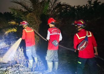 Tim Gabungan Berhasil Padamkan Kebakaran Lahan di Desa Manis Mato Muaro Jambi