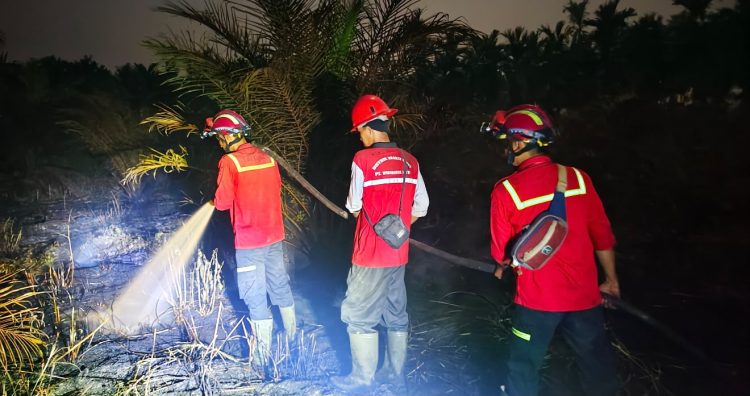 Tim Gabungan Berhasil Padamkan Kebakaran Lahan di Desa Manis Mato Muaro Jambi