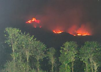 Foto : Kondisi kebakaran yang membakar lahan Gunung Sumbing di Kabupaten Wonosobo, Jawa Tengah pada Senin (19/10). (Istimewa)