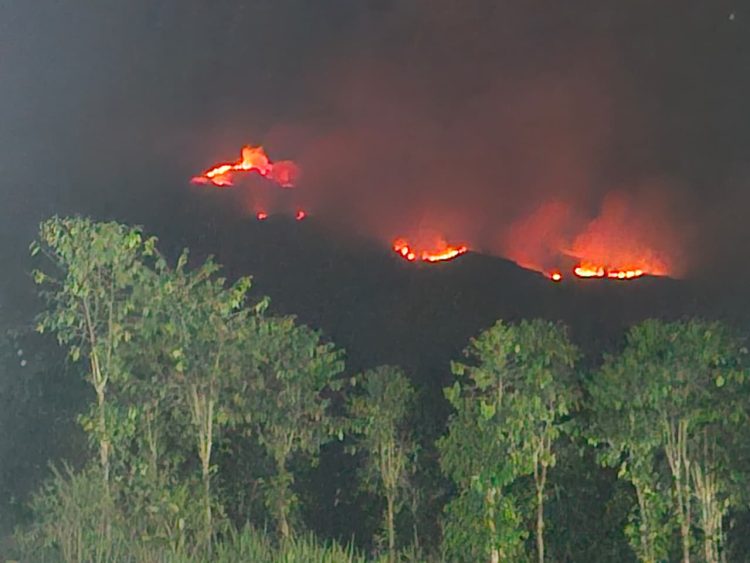 Foto : Kondisi kebakaran yang membakar lahan Gunung Sumbing di Kabupaten Wonosobo, Jawa Tengah pada Senin (19/10). (Istimewa)
