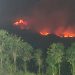 Foto : Kondisi kebakaran yang membakar lahan Gunung Sumbing di Kabupaten Wonosobo, Jawa Tengah pada Senin (19/10). (Istimewa)